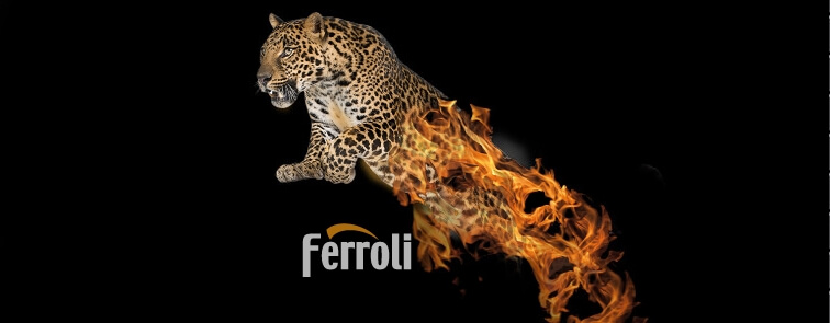 Ferroli Boilers