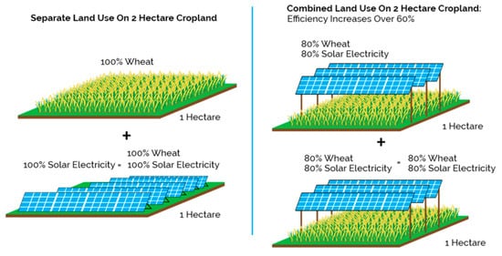 Plan strategy for solar power