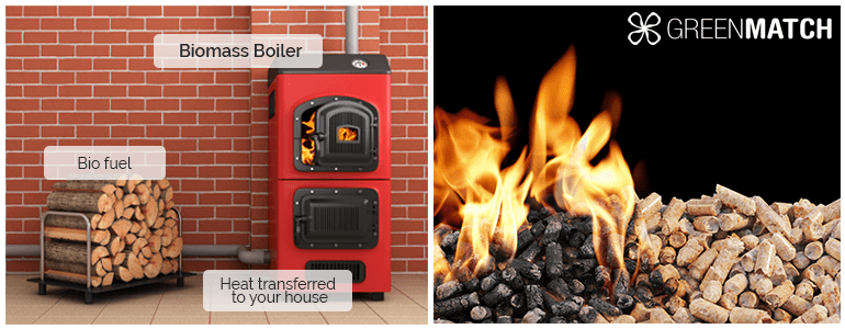 Biomass boilers and fuels