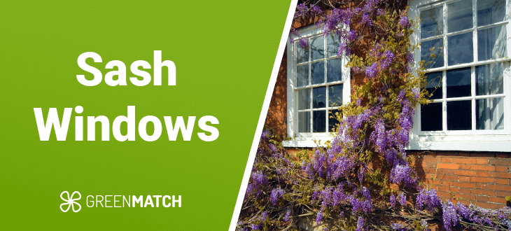 Sash Windows